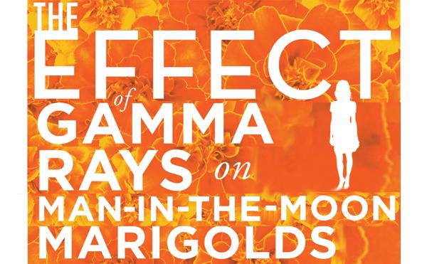 the effect of gamma rays