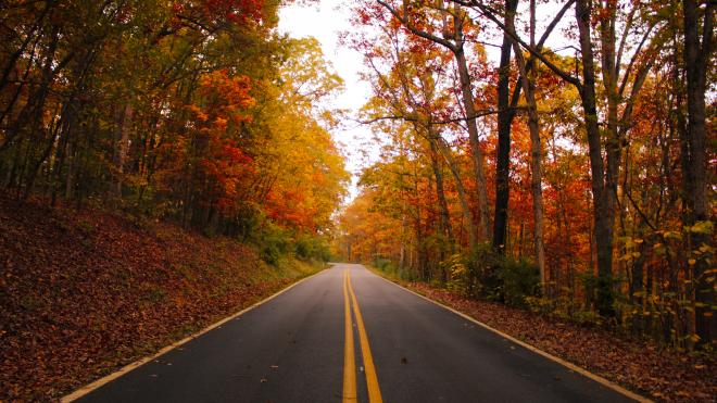Blue Ridge Parkway Fall Colors - Roanoke, Virginia