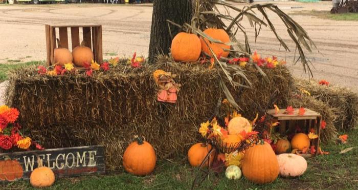 Klausmeyer Pumpkin Patch Entrance