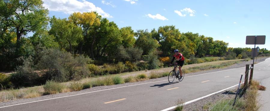 Biking in the Bosque