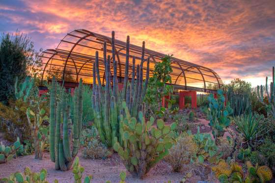 Visit Phoenix Find Things To Do Hotels Restaurants Events