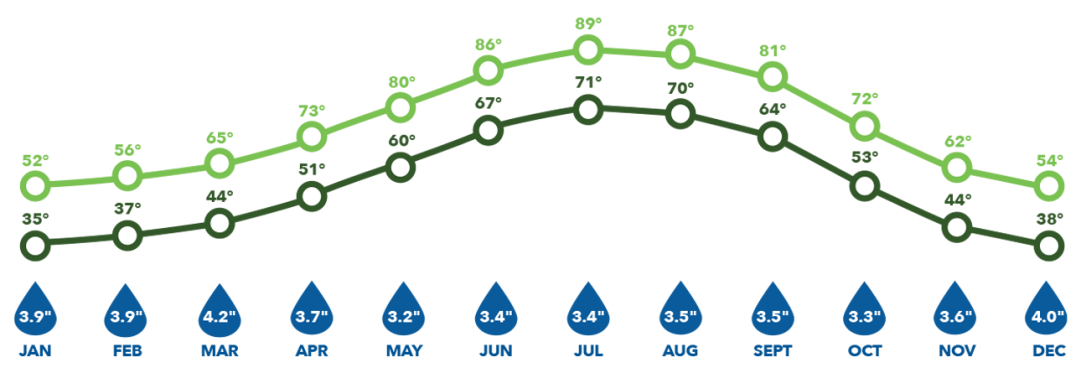 Greenville, SC Climate Infographic with average high and low temperatures and average rainfall amounts per month