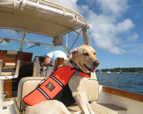 Dog Friendly Newport Ri Find Pet Friendly Hotels