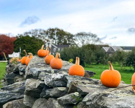 Things To Do In Newport In October Discover Newport