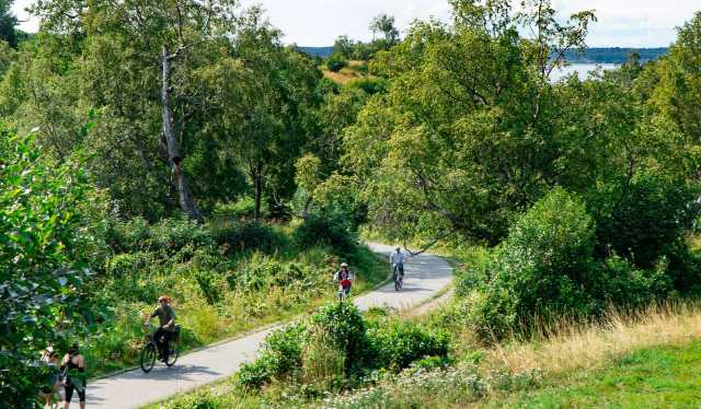 kincaid park mountain bike trails
