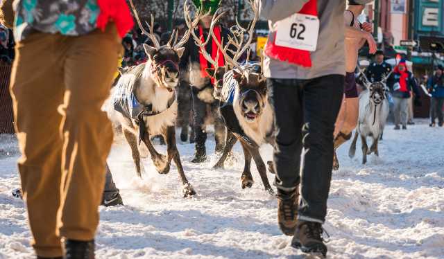 Anchorage Fur Rondy Visit Anchorage