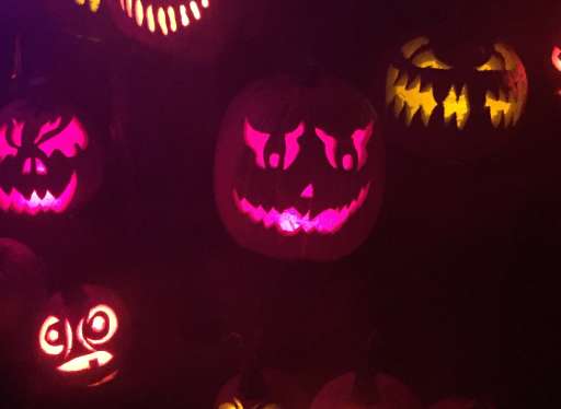 Jack O Lantern Spectacular Is A Must See