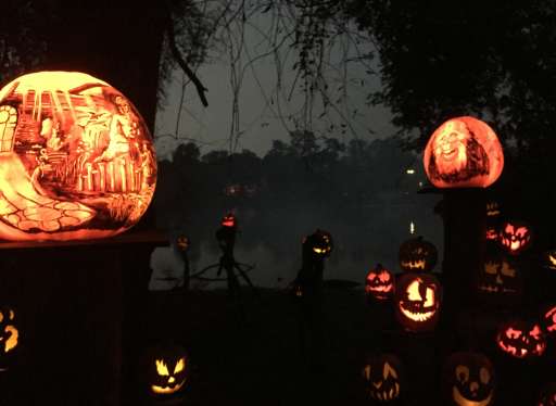 Jack O Lantern Spectacular Is A Must See