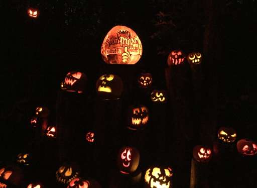 Jack O Lantern Spectacular Is A Must See