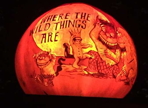 Jack O Lantern Spectacular Is A Must See