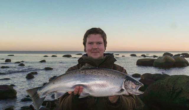 Big sea trout from Lista
