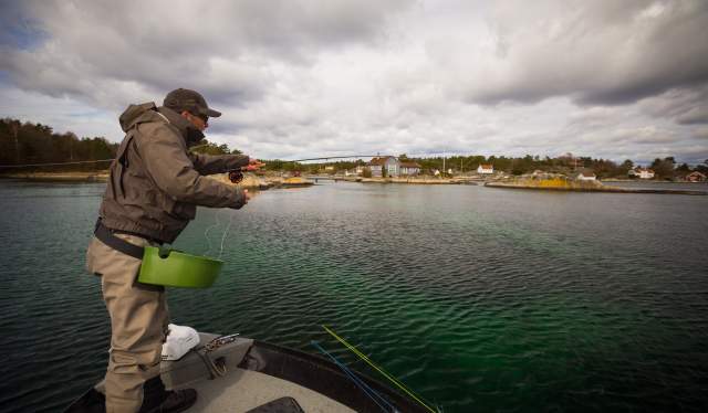 Casting for sea trout in Kristiansand