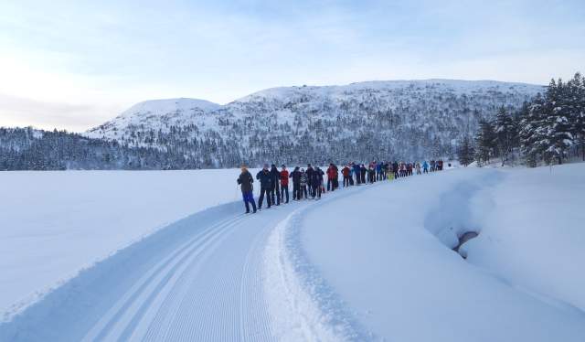 Cross country skiing Knaben southern Norway
