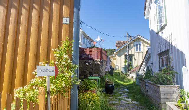 Kamperhaugveien til Branntårnet Galleri i Risør