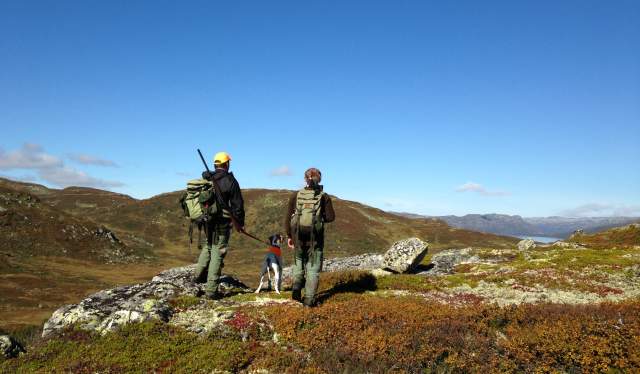 Hunting in the Setesdal mountains