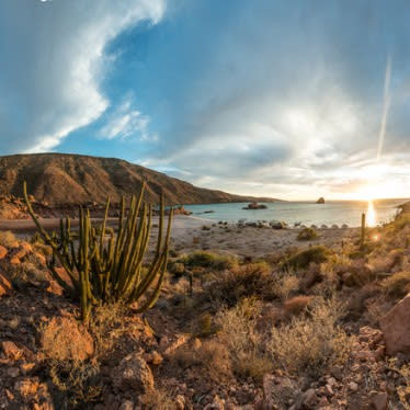 Espiritu-santo-island