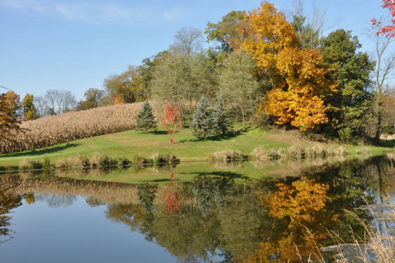 Gloria-McDavitt-Fall-Pond-3