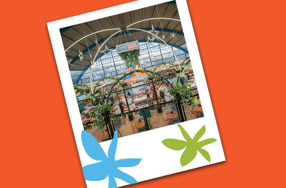 Swansea Market garden