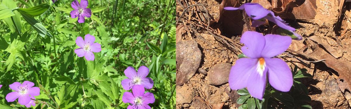 combo1_bf10b31d-b684-4ee1-8db7-0f028a476849