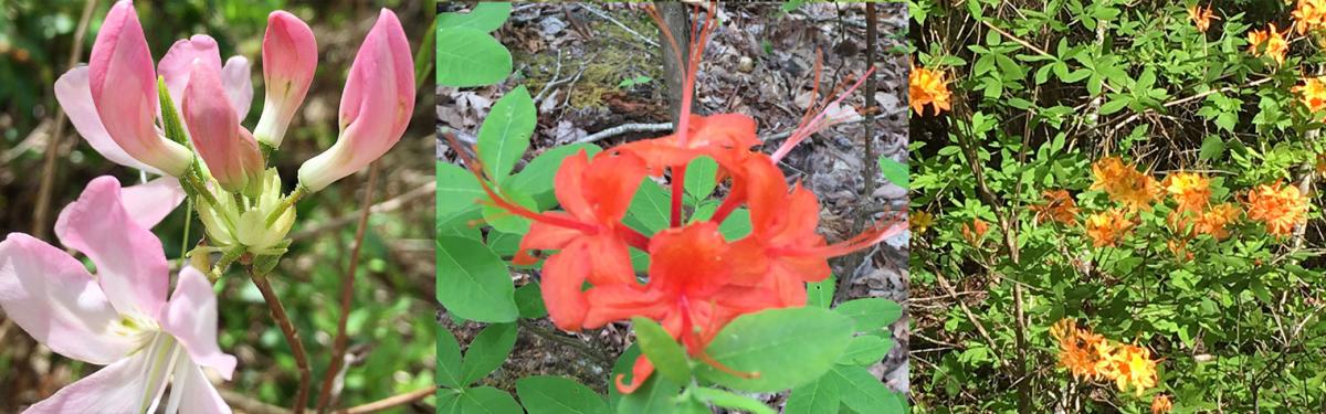 combo2_edb3ec08-87f9-467b-bee3-b64df7e5097b