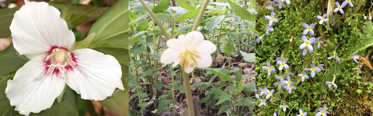 combo3_89a7129d-c4d5-4850-8c12-7a525470345e