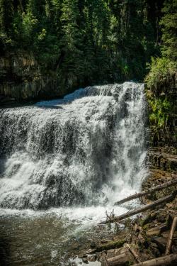 A cascading waterfall flows over rocky ledges, surrounded by lush green trees and fallen logs, creating a serene natural landscape.