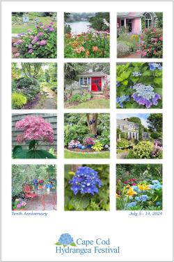 Cape Cod Hydrangea Fest Poster 2024