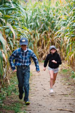 Kids running in a corn maze