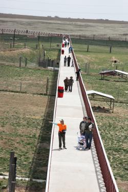The 1.5-mile-long footbridge at The Wild Animal Sanctuary.