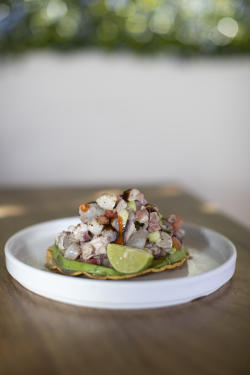 Sabores Paceños