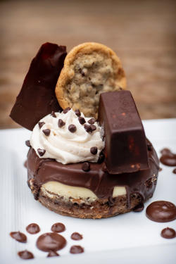 Cookie Cheesecake Dessert - Francesca's Cucina