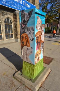 Glens Falls Arts Trail - Dogs
