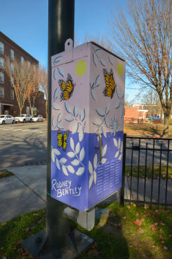 Glens Falls Arts Trail - Butterflies