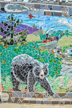 North Creek Mosaic Project (Bear)