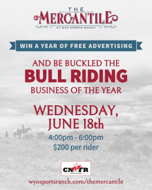 Mercantile Business Bull Riding Flyer