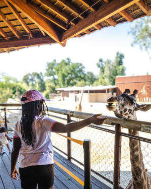 Zoo