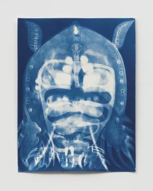 LComito_Copepod no.8