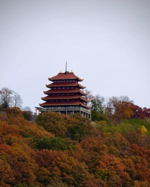 Pagoda in the Fall