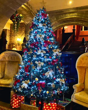 Coombe Abbey Christmas Tree 2024