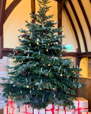 Lord Leycester Hospital Christmas Tree 2024