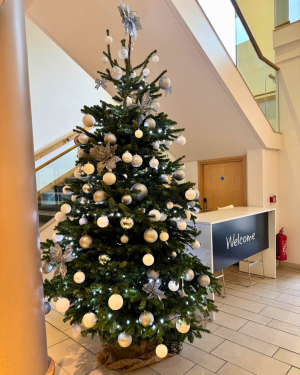 Warwick Conferences Scarman Christmas Tree 2024