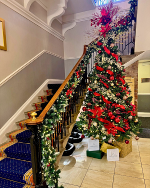 Ardencote Christmas Tree 2024