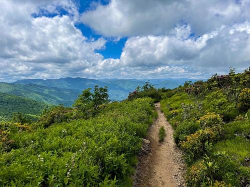 Picture of mountain visa and dirt path along Art Loeb Trail