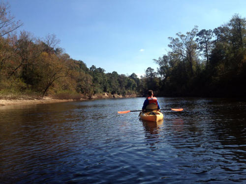 Person Paddling Village Creek Paddle in the Big Thicket near Beaumont, TX
