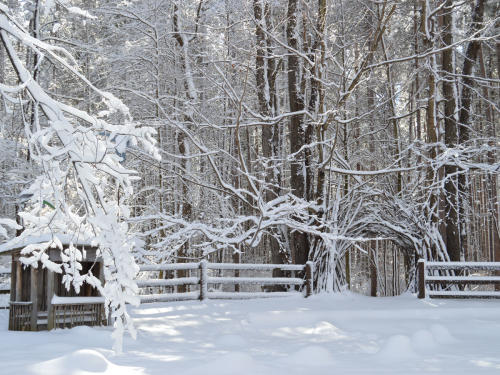 Cumming Nature Center in the Winter