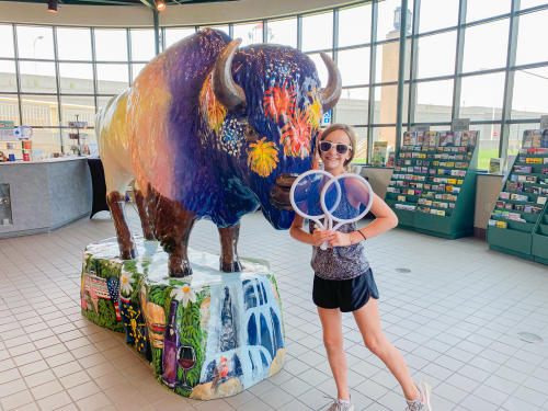SoIN Visitor Center Bison Fun Trail Prizes