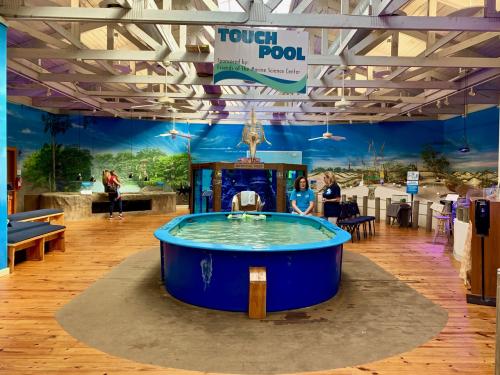 The inviting touch pool and aquariums at Marine Science Center
