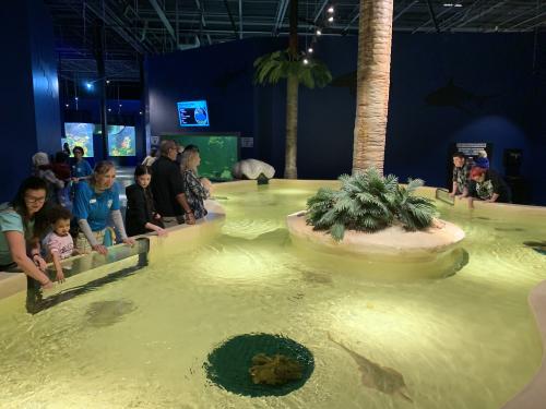 Daytona Aquarium