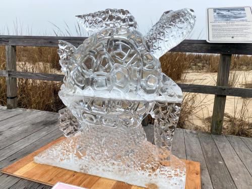 Fire and Ice Festival