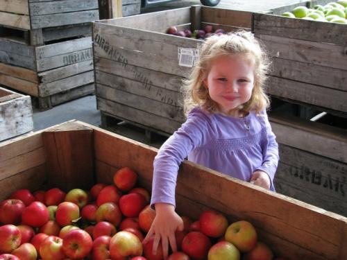 Girl with Apples - Wayne County